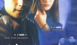 绝不放过你电视剧,复仇之路的悲欢离合